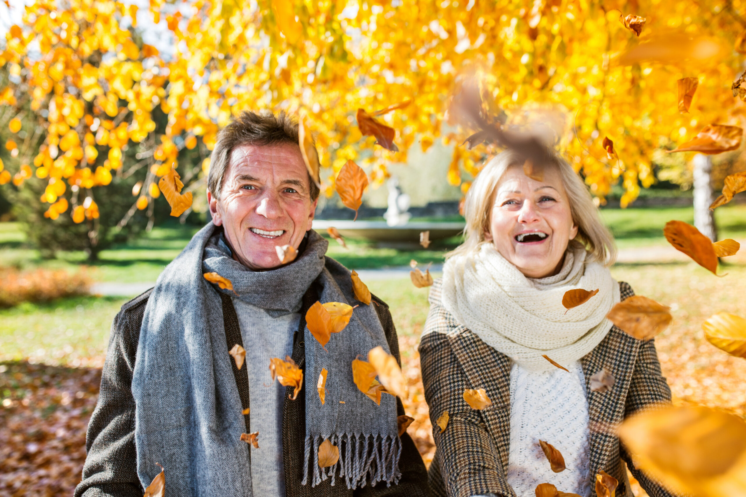 Du betrachtest gerade 🍂 Gesund durch Herbst & Winter in Erfurt